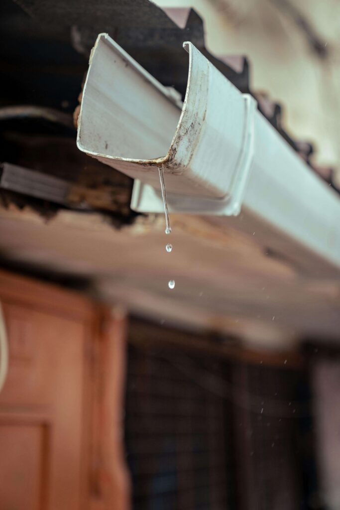 Affordable residential gutter cleaning Bradford